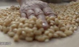 娱乐吃瓜酱麻绳,揭秘娱乐圈背后的麻辣故事